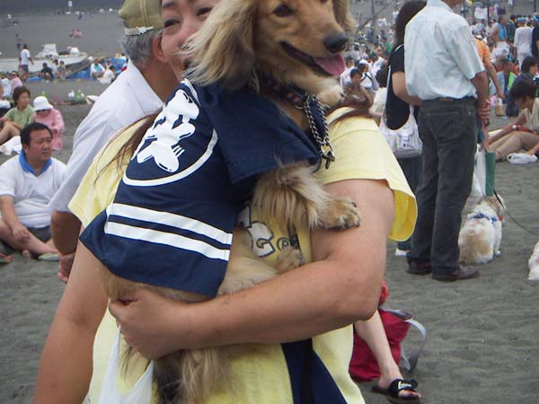 海岸のペット風景
