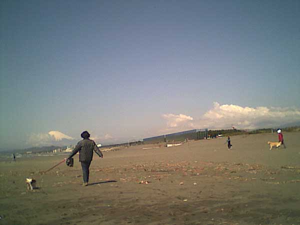 海岸のペット風景