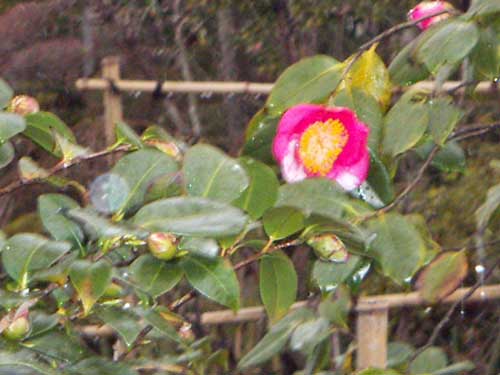 海岸の近隣風景