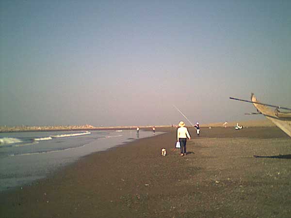 海岸のペット風景