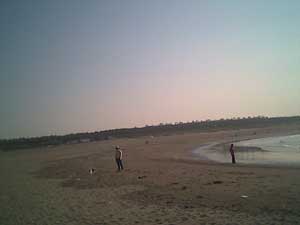 海岸のペット風景