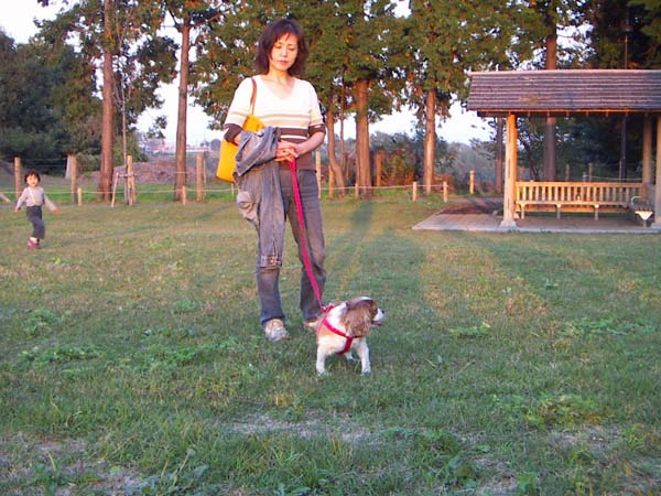 里山のペット風景