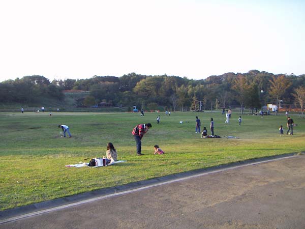 公園のペット風景