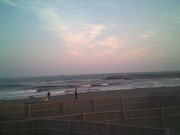 海岸のペット風景