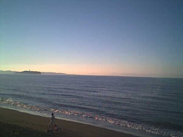 海岸のペット風景