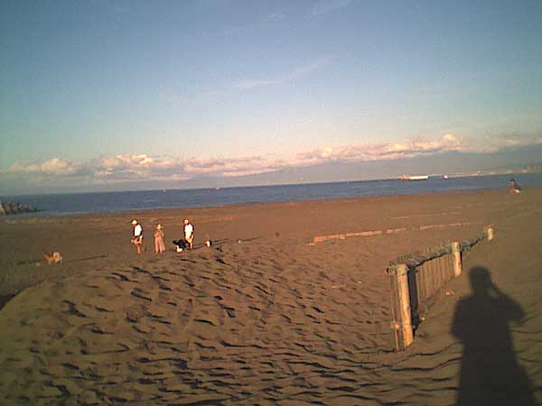 海岸のペット風景