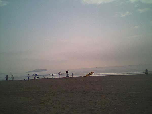 海岸のペット風景