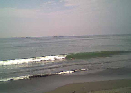 海岸のペット風景