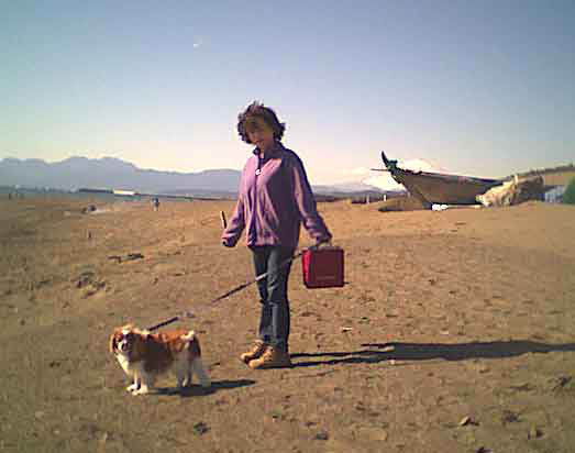 海岸のペット風景
