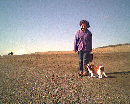 海岸のペット風景