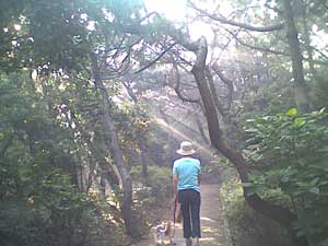 しおさいの森散歩道