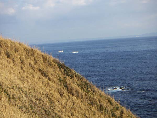公園から見た海