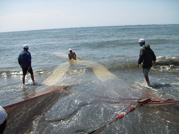 地引網漁風景