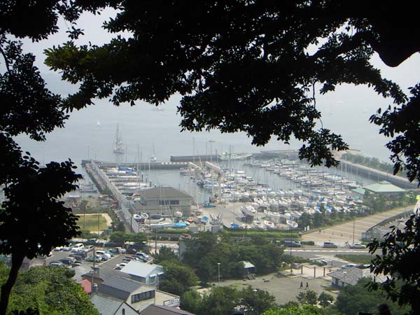 島内の風景