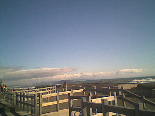 浜辺の清掃風景