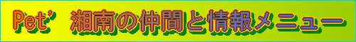 湘南の仲間タイトル画像