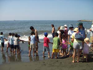 chigasaki_seaside