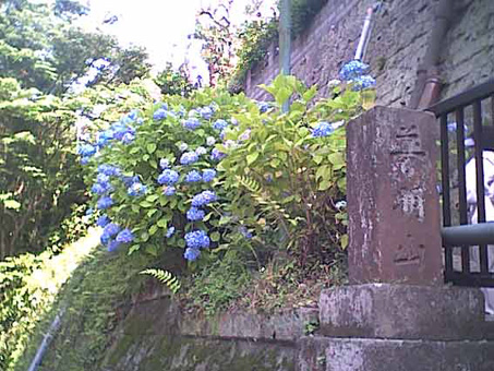 成就院山門に向かう