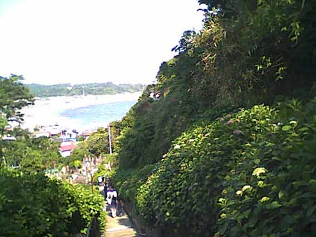 成就院から長谷に向かう